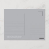 Black Bear in Cades Cove - Great Smokey Mountains  ポストカード (裏面)