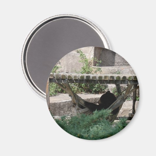 Black Bear in Hammock マグネット (正面/裏面)