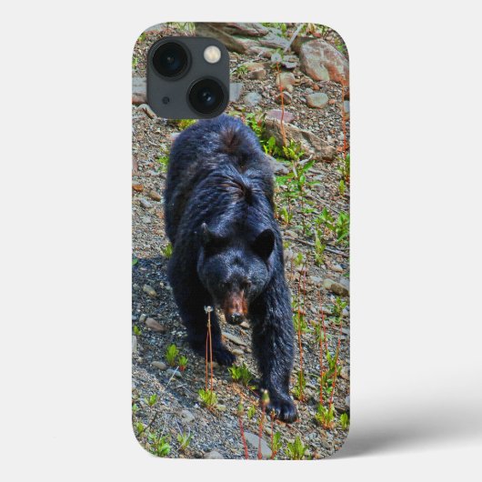 Black Bear in Yukon Wilderness Wildlife写真 Case-Mate iPhoneケース (裏面)