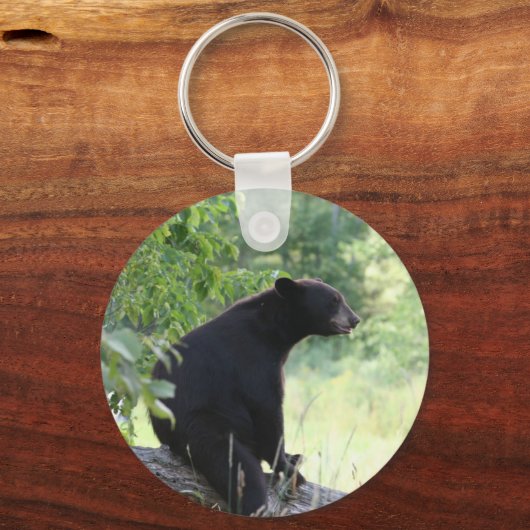 black bear sitting in tree キーホルダー (正面)