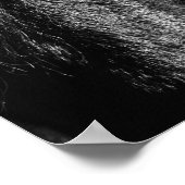 Black Beauty - Poster ポスター (角)