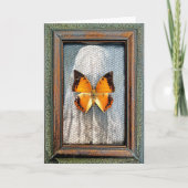 Black-Bordered Charaxes Butterfly Greeting Card NV カード (正面)
