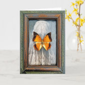Black-Bordered Charaxes Butterfly Greeting Card NV カード (黄色い花)