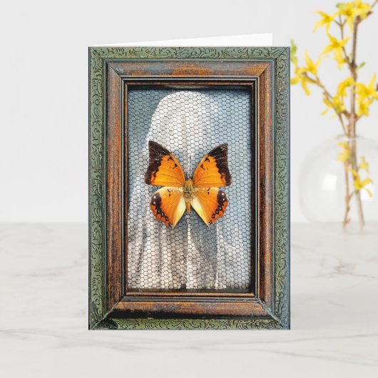 Black-Bordered Charaxes Butterfly Greeting Card NV カード (黄色い花)
