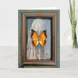 Black-Bordered Charaxes Butterfly Greeting Card V1 カード
