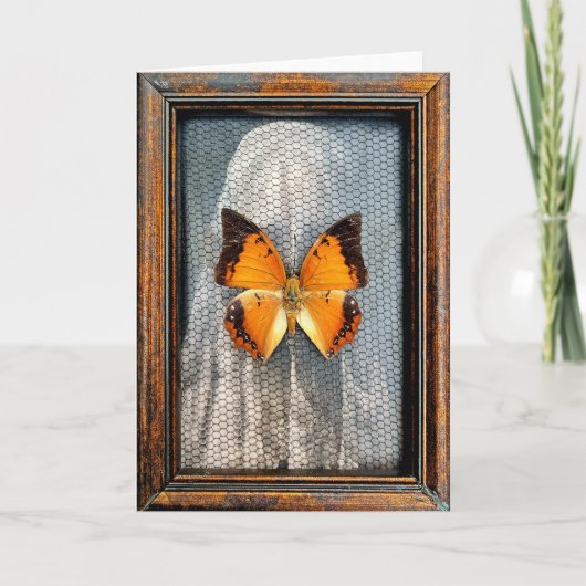 Black-Bordered Charaxes Butterfly Greeting Card V2 カード (正面)