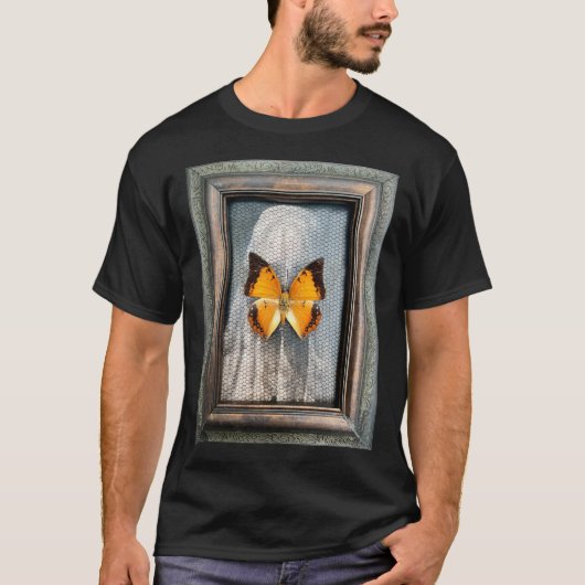 Black-Bordered Charaxes Butterfly T-Shirt Tシャツ (正面)