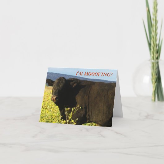 Black Bull in Flowers - Western Change of Address 案内状 (正面)