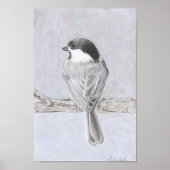 Black-Capped Chickadee Poster ポスター (正面)