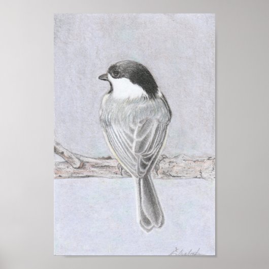 Black-Capped Chickadee Poster ポスター (正面)