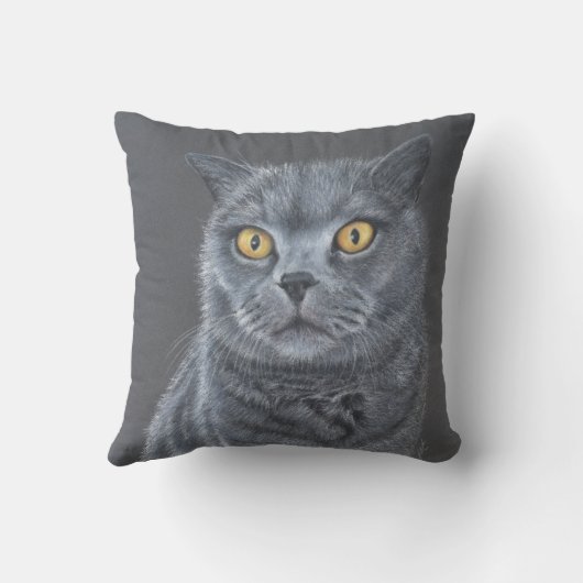 Black cat  クッション (裏面)