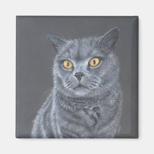 Black cat  マグネット (正面)