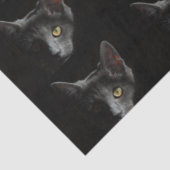 Black Cat  薄葉紙 (詳細)