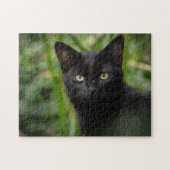 Black Cat Animal Jigsaw Puzzle ジグソーパズル (横)