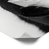 Black Cat Bathroom Print, Cat Holding Toilet Roll, ポスター (角)