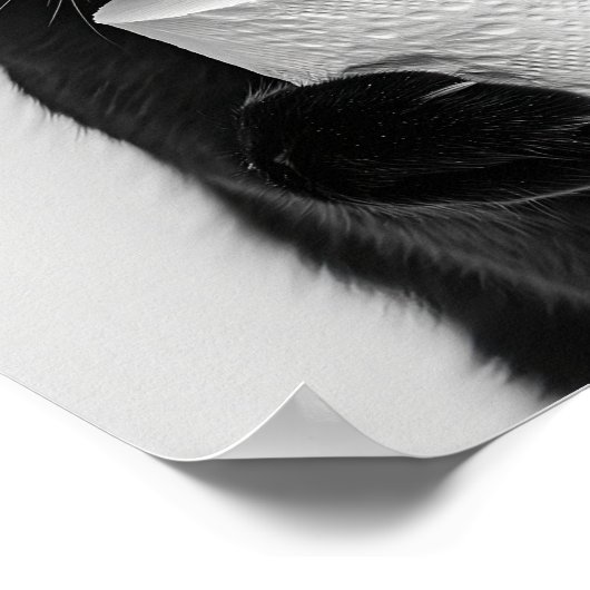 Black Cat Bathroom Print, Cat Holding Toilet Roll, ポスター (角)