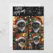 Black cat christmas photo collage meowy christmas シーズンカード (正面)
