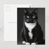 Black Cat Emerald Eyes ポストカード (正面/裏面)