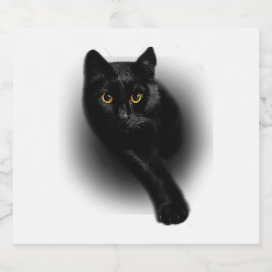 Black Cat Filing Nails スパークリングワインラベル (シングルラベル)