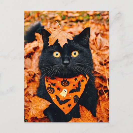 Black Cat Happy Halloween Postcard ポストカード (正面)