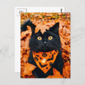 Black Cat Happy Halloween Postcard ポストカード (正面/裏面)