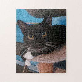 Black Cat Jigsaw Puzzle ジグソーパズル