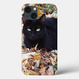 Black Cat Photo Apple iPhone 8/7, Tack Xtreme 13ケース