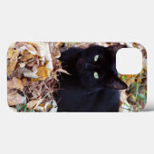 Black Cat Photo Apple iPhone 8/7, Tack Xtreme Case-Mate iPhoneケース (裏面 (横))