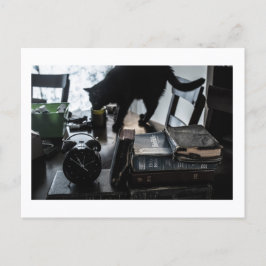 Black Cat Postcard Print by JH Thornton ポストカード