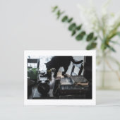 Black Cat Postcard Print by JH Thornton ポストカード (スタンド正面)