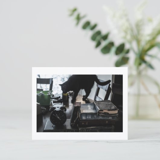 Black Cat Postcard Print by JH Thornton ポストカード (スタンド正面)