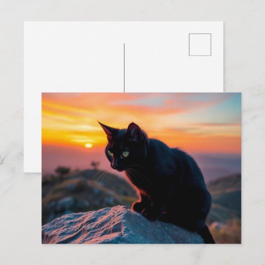 Black Cat Silhouette at Sunset Postcard ポストカード (正面/裏面)