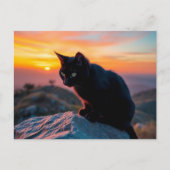 Black Cat Silhouette at Sunset Postcard ポストカード (正面)