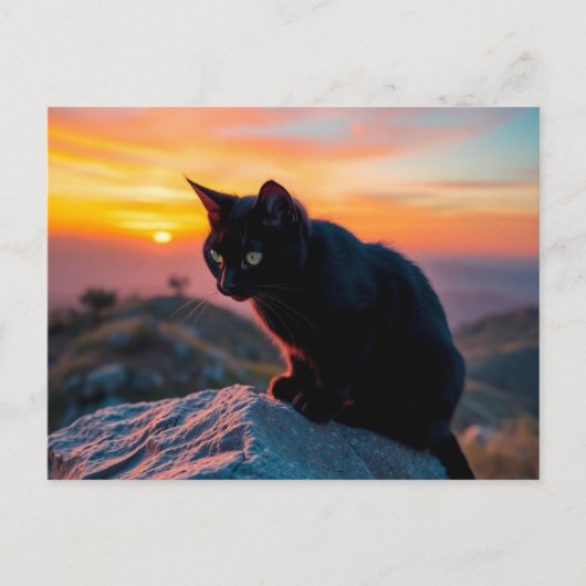 Black Cat Silhouette at Sunset Postcard ポストカード (正面)