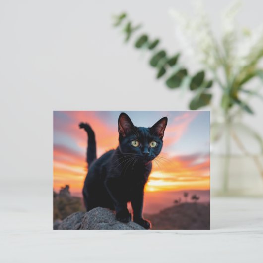 Black Cat Silhouette at Sunset Postcard ポストカード (スタンド正面)