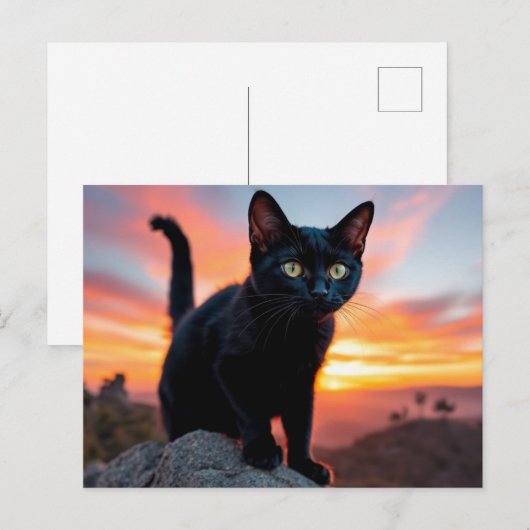 Black Cat Silhouette at Sunset Postcard ポストカード (正面/裏面)