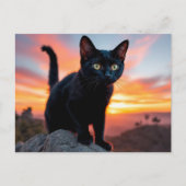 Black Cat Silhouette at Sunset Postcard ポストカード (正面)