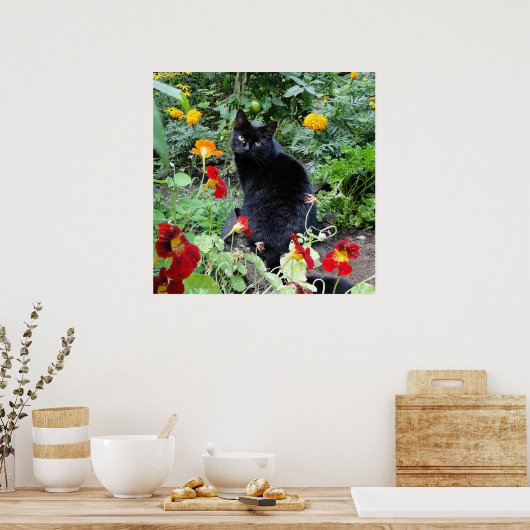 Black Cat Summer Garden Photography ポスター (キッチン)