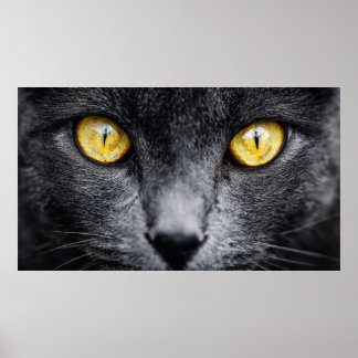 Black Cat with Golden Eyes Wall Art – Mystical Ani ポスター