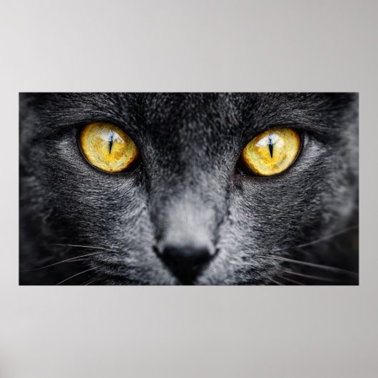 Black Cat with Golden Eyes Wall Art – Mystical Ani ポスター (正面)