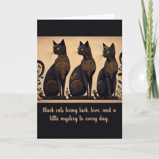 Black Cats Lover Folded Greeting Card カード (正面)