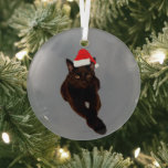 Black Cat's Photo切り出しwith Santa Hat Gray ガラスオーナメント<br><div class="desc">クリスマスパーソナライズされたの飾り付け素晴らしは祝クリスマスにペットを飾る方法だ。黒猫の赤と白写真にサンタ帽のスケッチ。背景は灰色。猫もしの写真を自分のペットの切り出しの写真に置き換えたい。編集クリックデザインでペットの頭に合わせてサンタ帽子を調整できる。あなたもしは救済パーソナライズが必要だ、メッセージを下さい。</div>