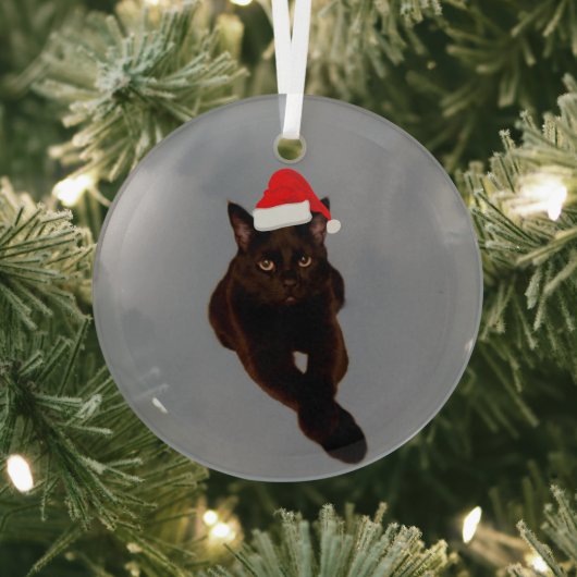 Black Cat's Photo切り出しwith Santa Hat Gray ガラスオーナメント (インサイチュ)