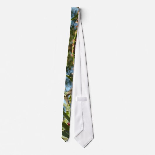 Black-Chinned Hummingbird in Flight ネクタイ (裏面)