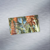 Black-Chinned Hummingbird in Flight マグネット名刺 (インサイチュ)