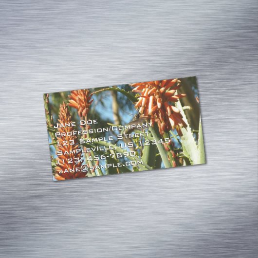 Black-Chinned Hummingbird in Flight マグネット名刺 (インサイチュ)