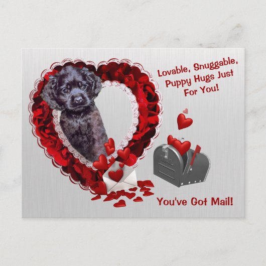 Black Cocker Spaniel #2 You've Got Mail Puppy Hugs シーズンポストカード (正面)
