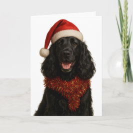 Black Cocker Spaniel Happy Christmas card カード
