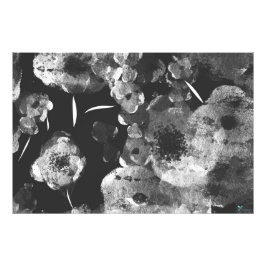 BLACK DAHLIAS フォトプリント           