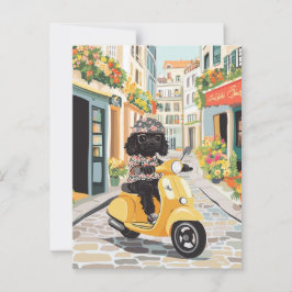 Black Doodle Riding Scooter European City Streets ポストカード